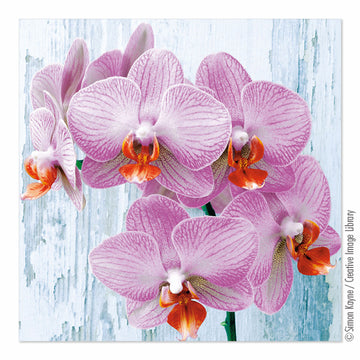 Servietten, 3-lagig 1/4-Falz 33 cm x 33 cm "Phalaenopsis"