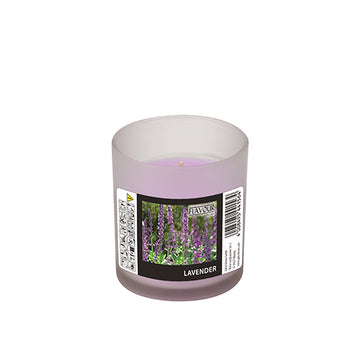 "GALA" Duftkerze im Glas Ø 70 mm · 77 mm violett - Lavender "Indro"