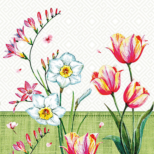 Servietten, 3-lagig 1/4-Falz 33 cm x 33 cm "Florentina"