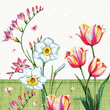 Servietten, 3-lagig 1/4-Falz 33 cm x 33 cm "Florentina"