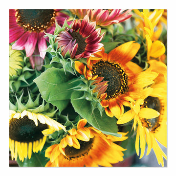 Servietten, 3-lagig 1/4-Falz 33 cm x 33 cm "Sunflower Bouquet"