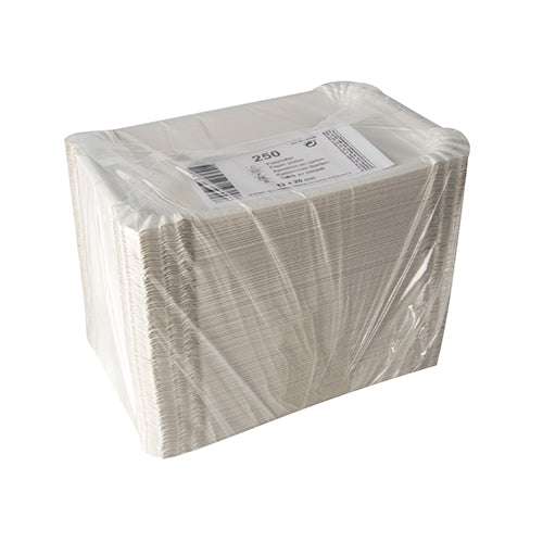 Teller, Pappe [rc] eckig 13 cm x 20 cm weiss